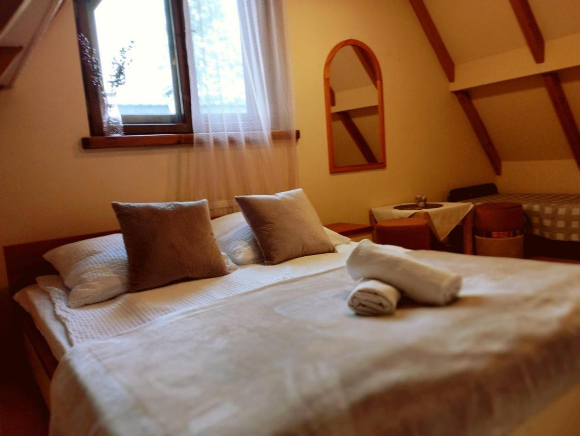 Homestay Oleksandra Protsenko 