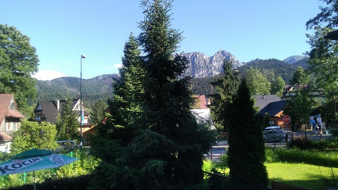 Homestay Oleksandra Protsenko 